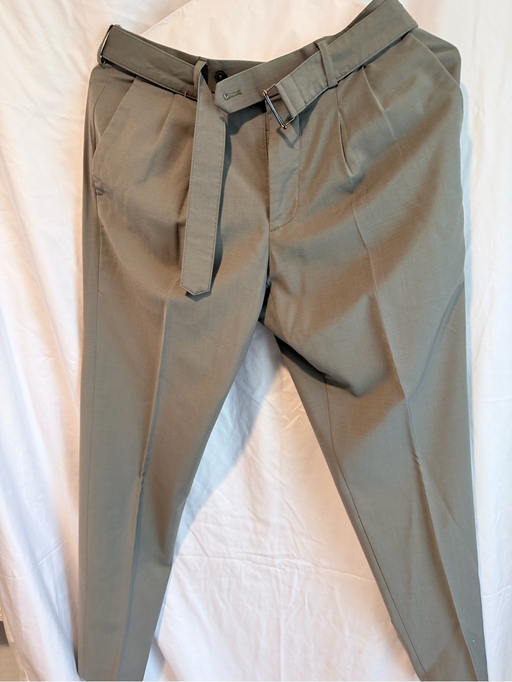 Express Men's Dress Pants in Olive